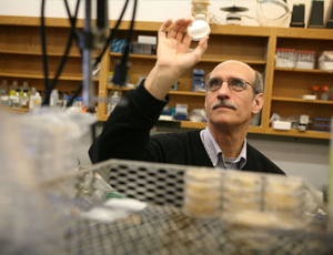 在线手机号接收